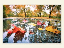 Herbst