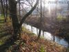 die Sulm im Stadtpark