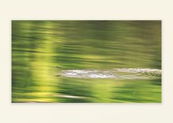 über`s Wasser 