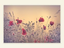 zwischen Tag und Traum